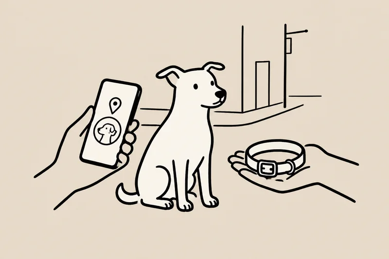 A phone shows a local dog’s profile beside the dog, while a hand holds out a collar.